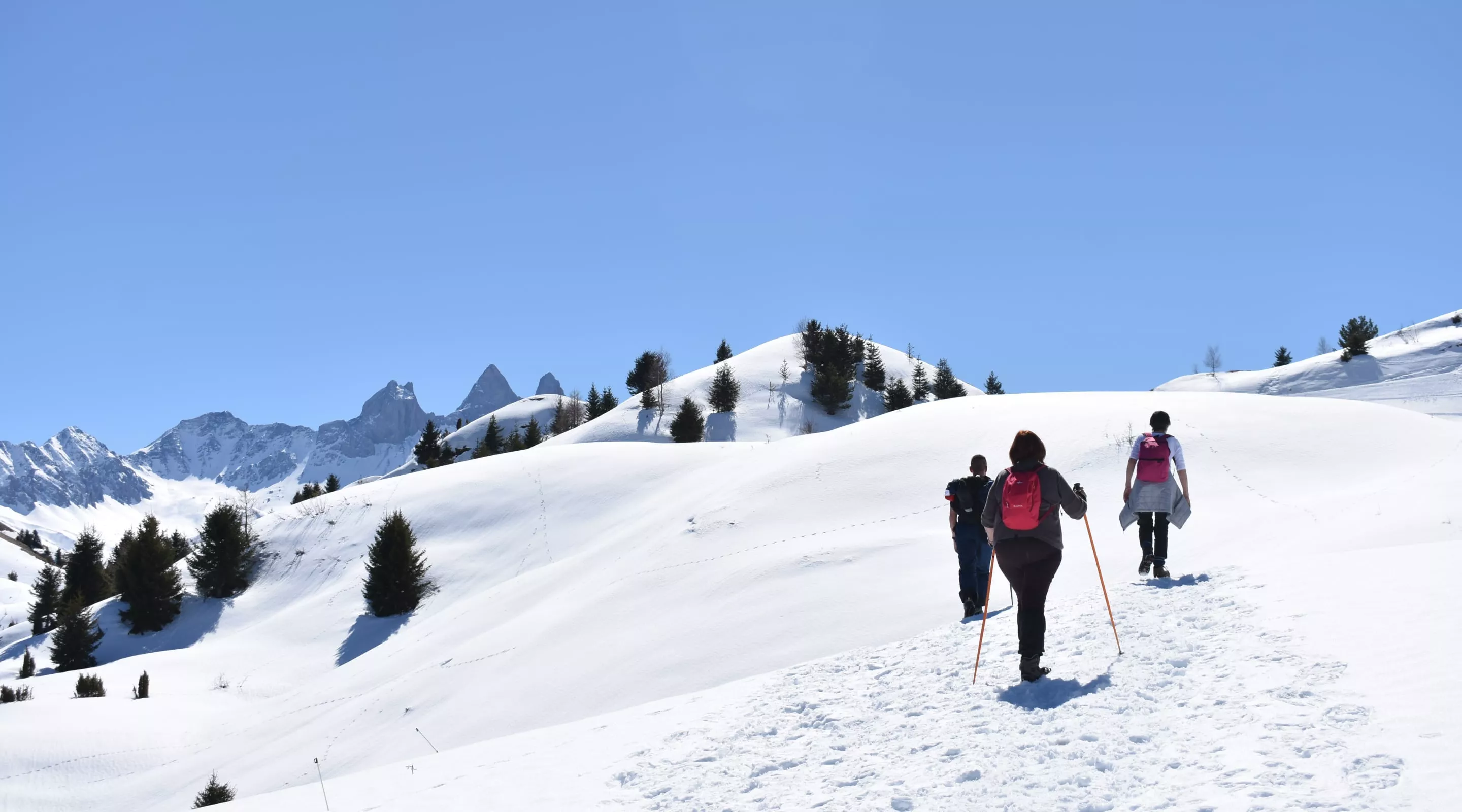 Snowshoeing/pedestrians