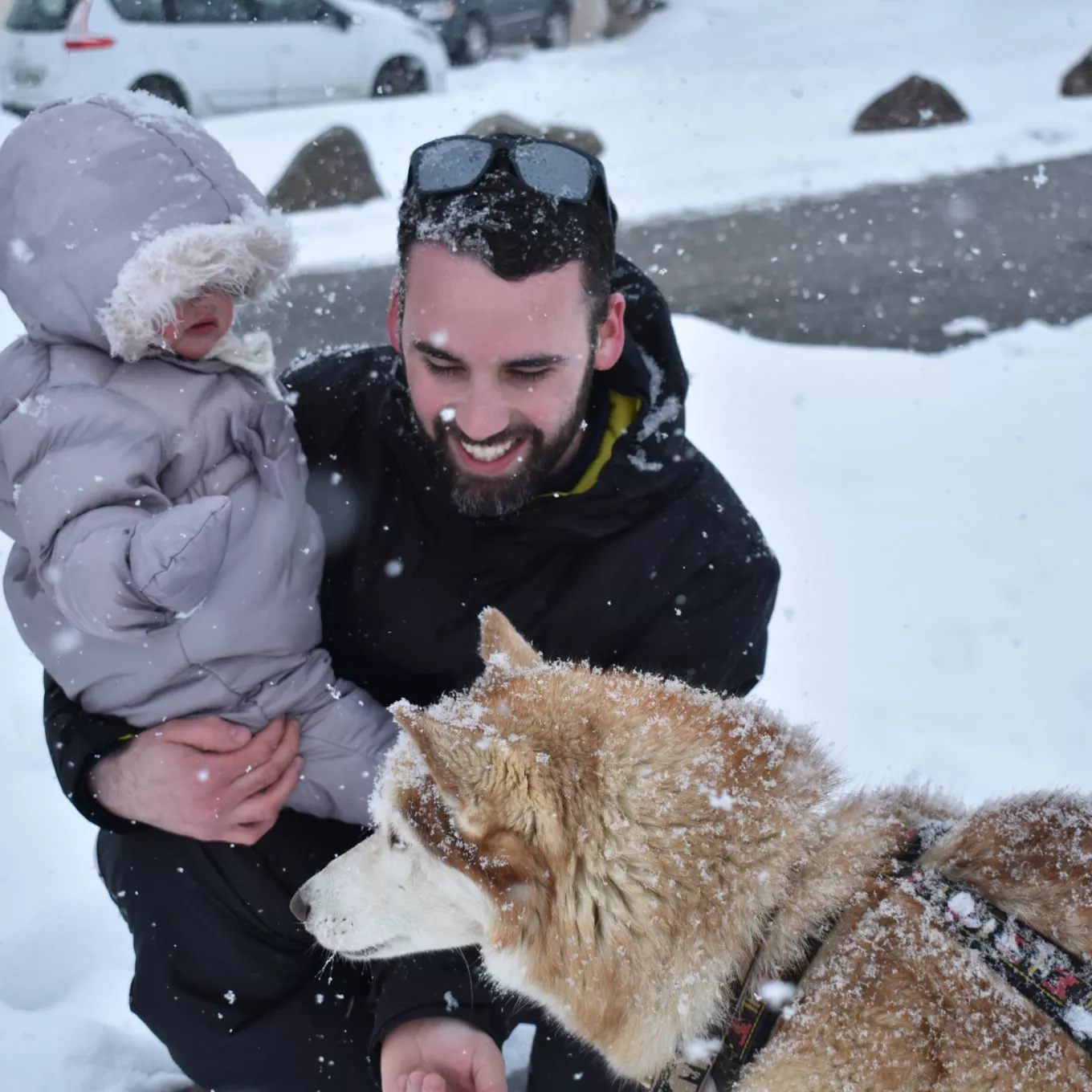 Chien de traineau et enfant