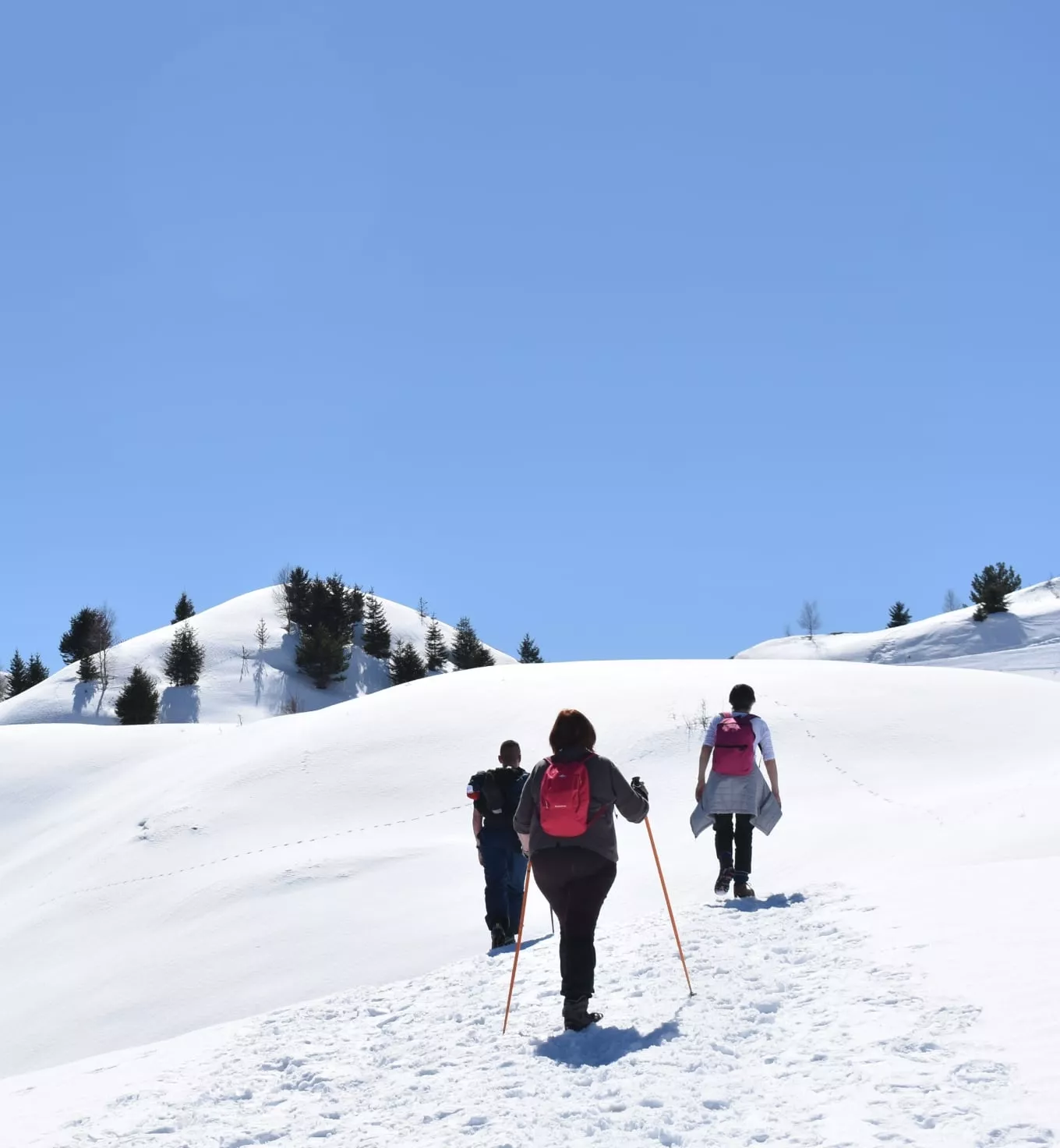 Snowshoeing/pedestrians